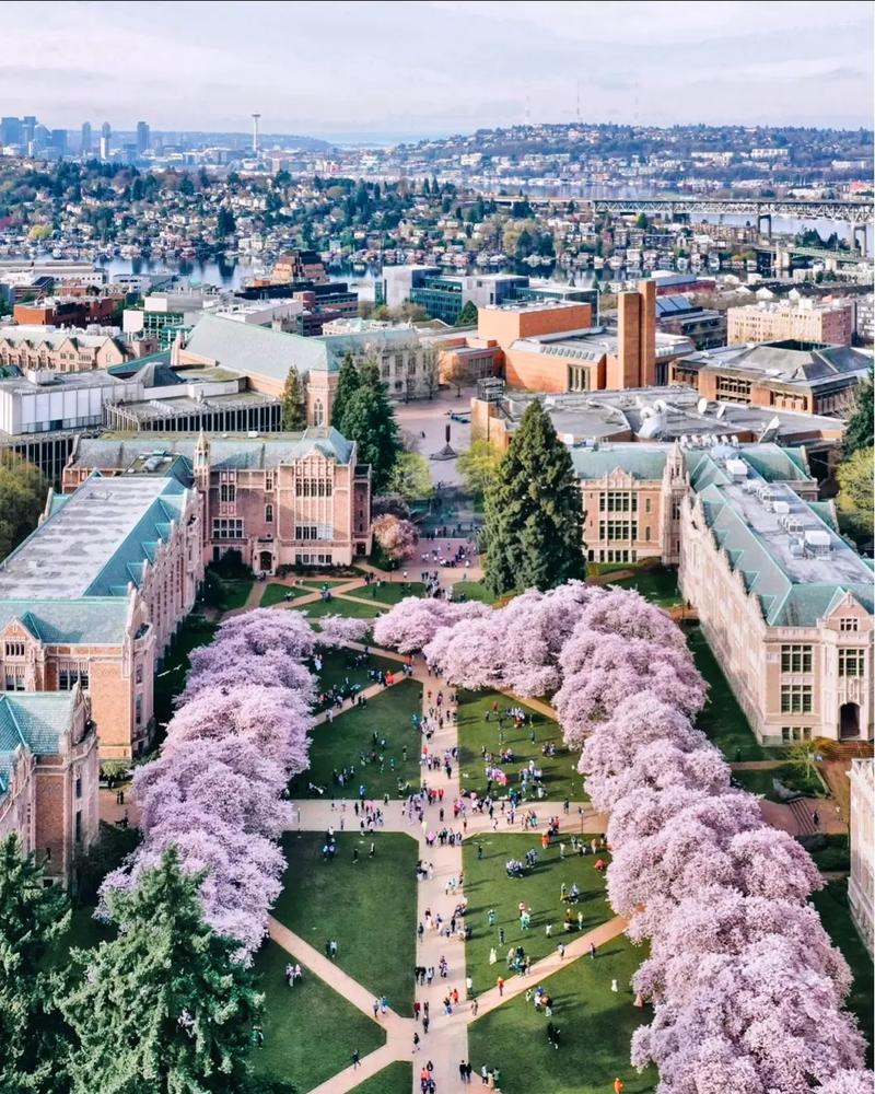 韩国国防科学技术大学